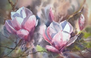 les magnolias         